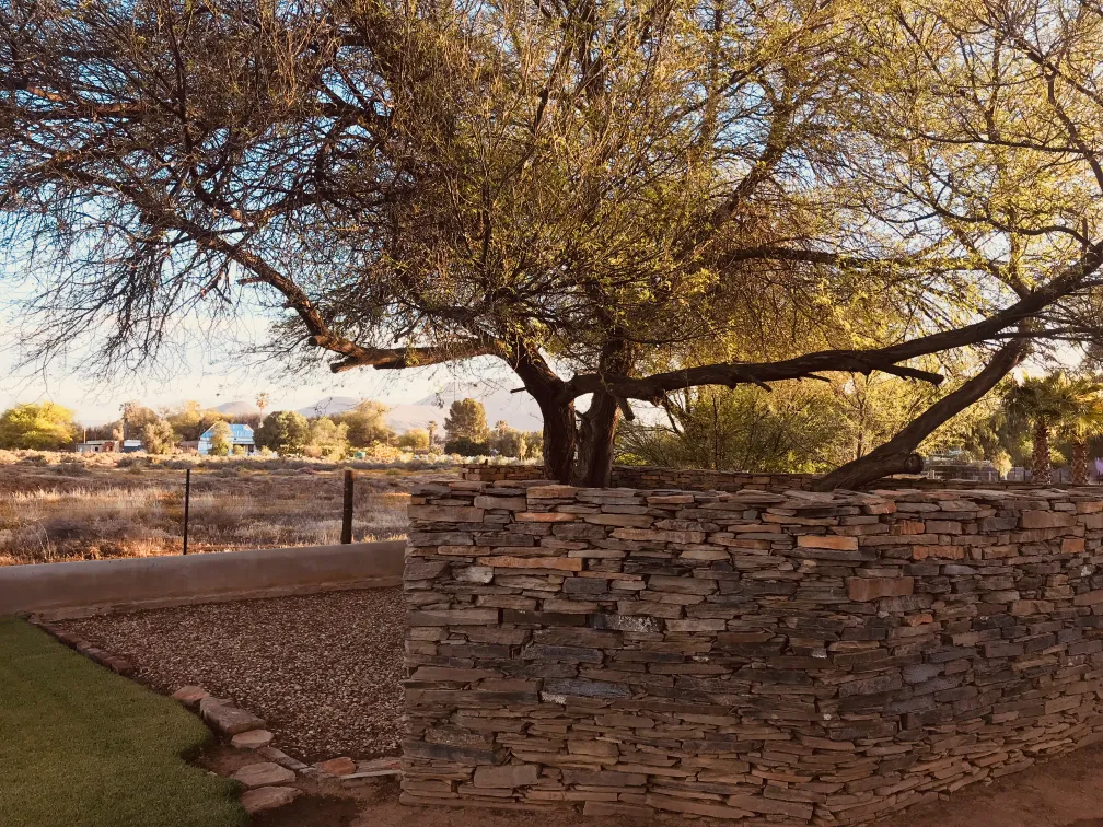 Guesthouse entrance and Karoo vegetation